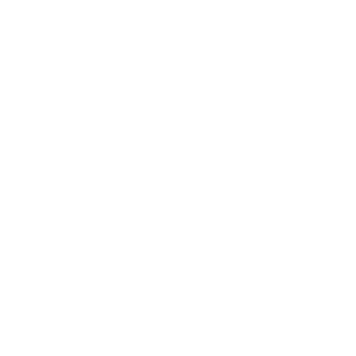 DealerFire Press Release Improved SEO Icon