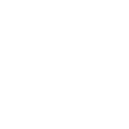 DealerFire Press Release Mass Distribution Icon