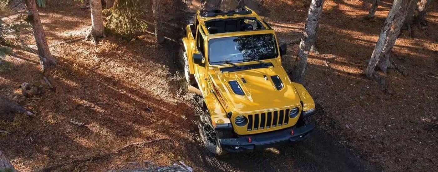 Yellow 2019 Jeep Wrangler Rubicon parked off-road in a forest.