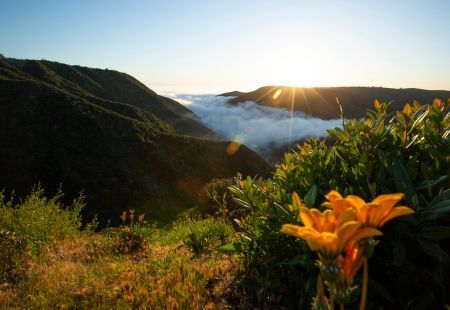 Wheelchair-Accessible Vehicles Sales in San Clemente