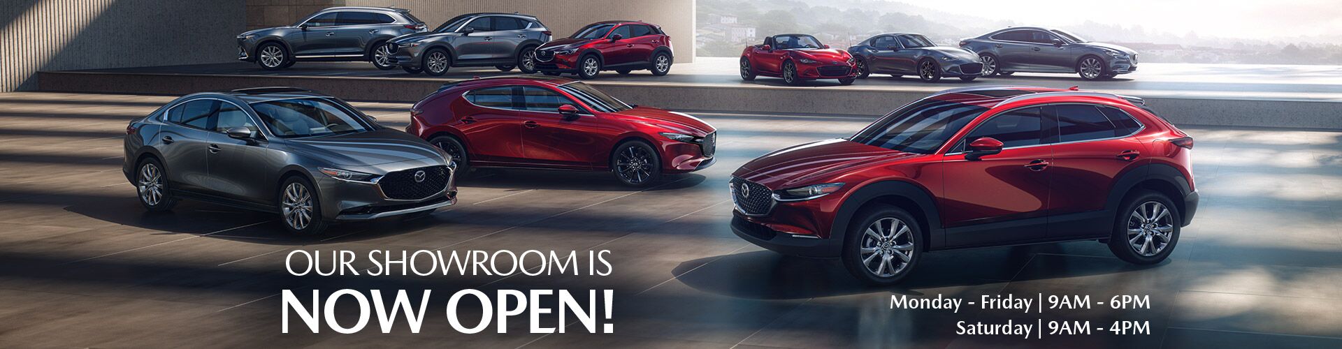 scott dealer near me