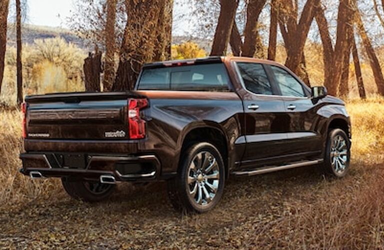 Rear/side view of 2020 Chevy Silverado by trees