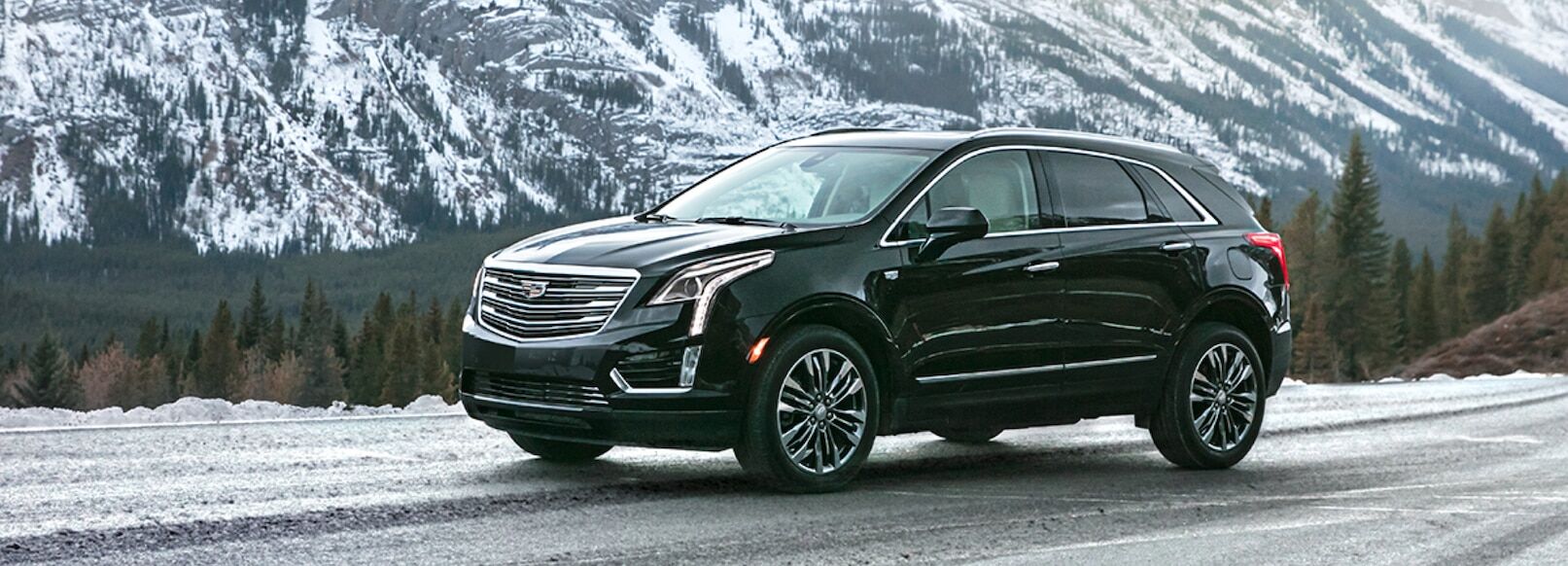 2019 Cadillac XT5 Cheaper Insurance