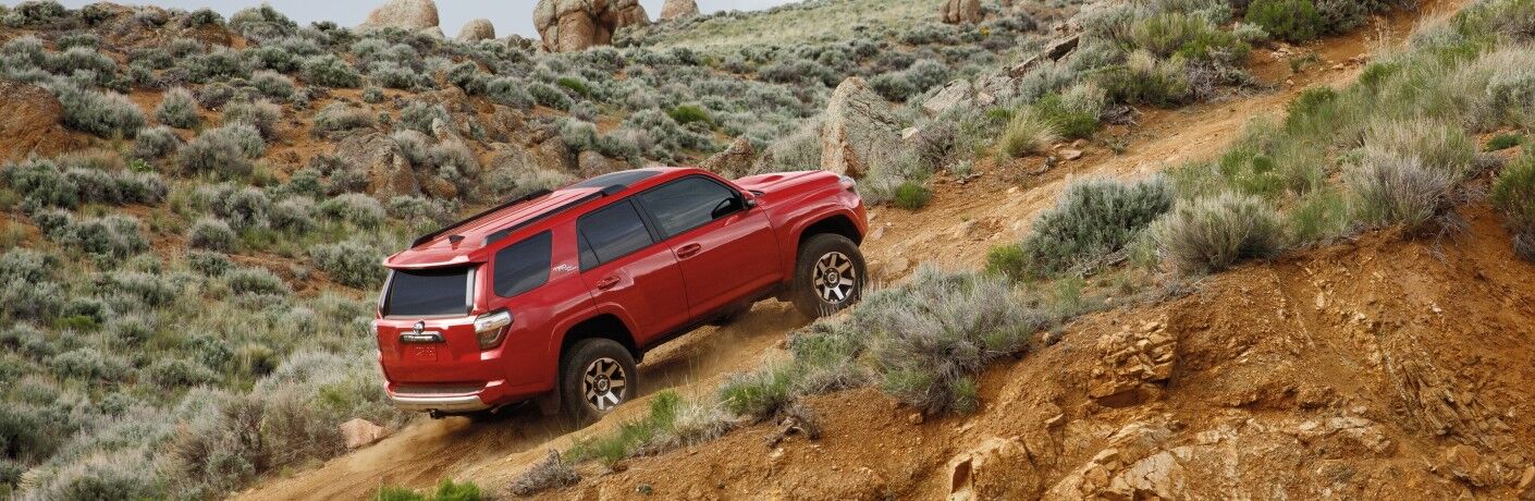 2021 Toyota 4Runner red climbing desert hill