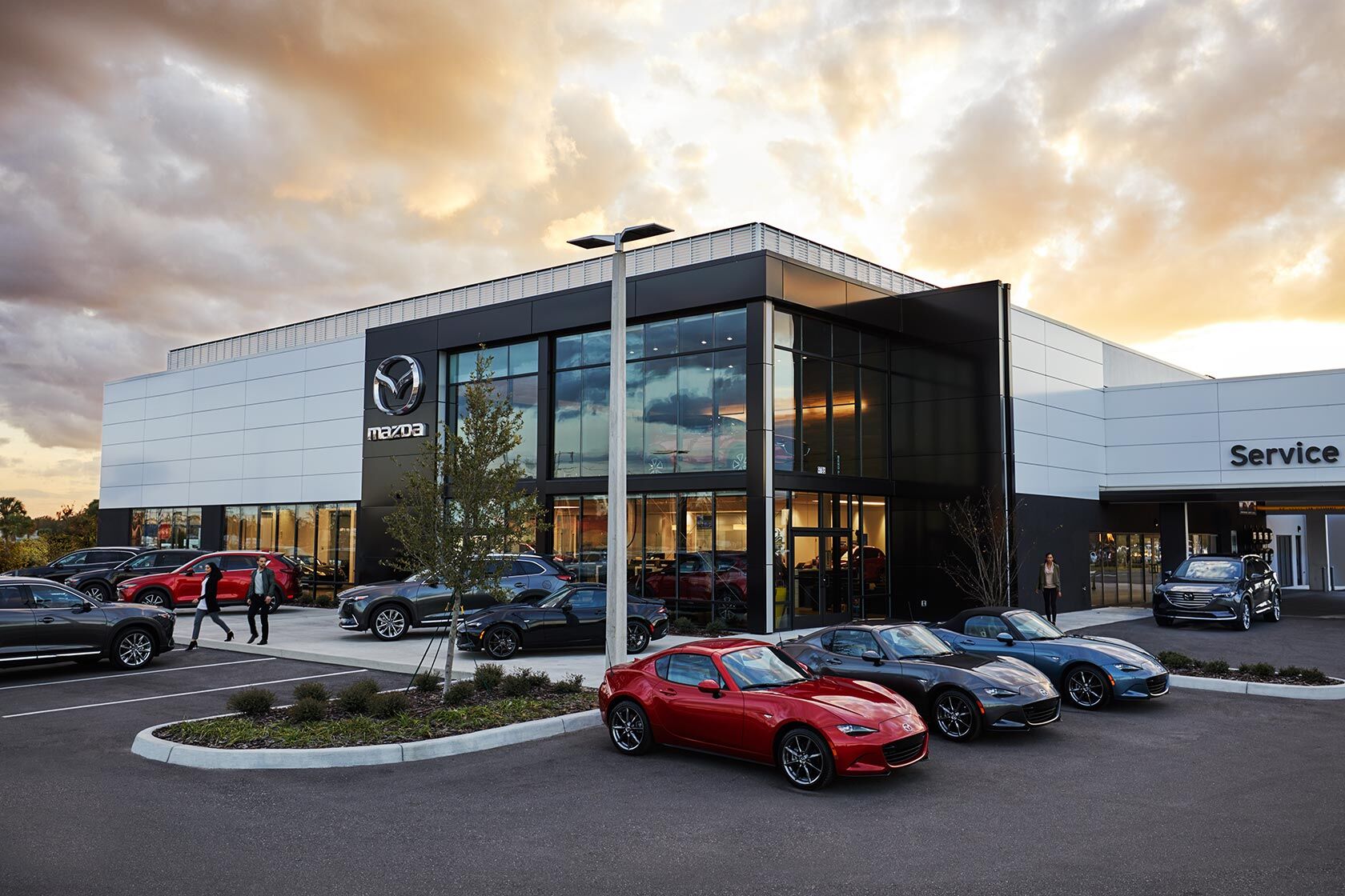 Mazda Dealership Harlingen TX PreOwned Cars Cardenas Mazda