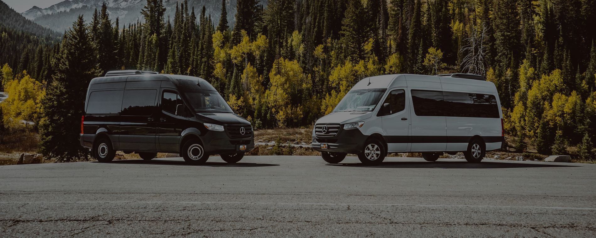 Rental