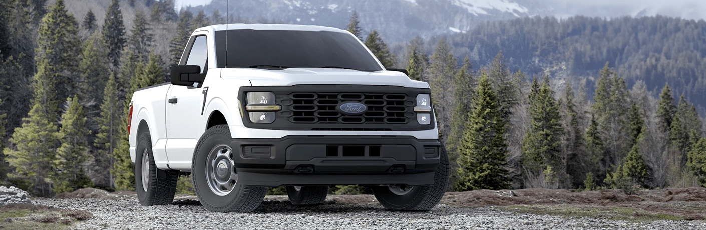 2024 Ford F-150 XL front view in the woods