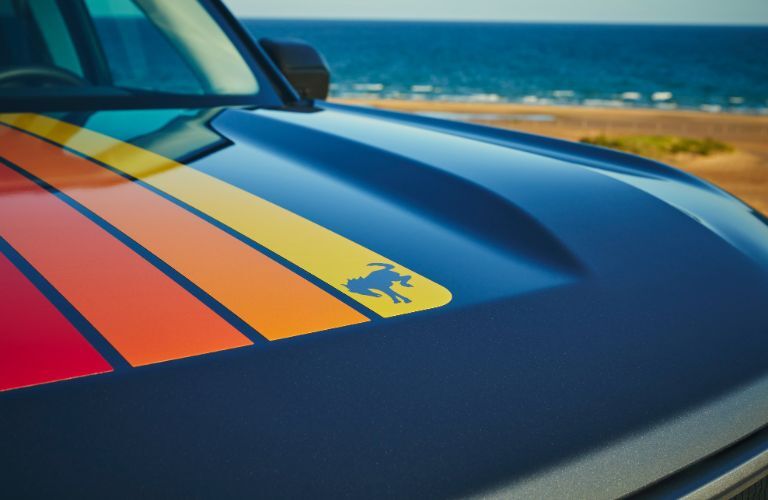 2024 Ford Bronco Sport Free Wheeling logo close up