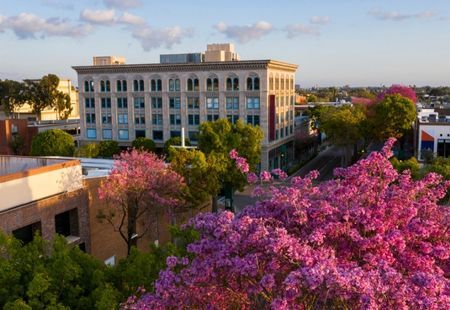 Wheelchair-Accessible Vehicles Sales in Fullerton, CA