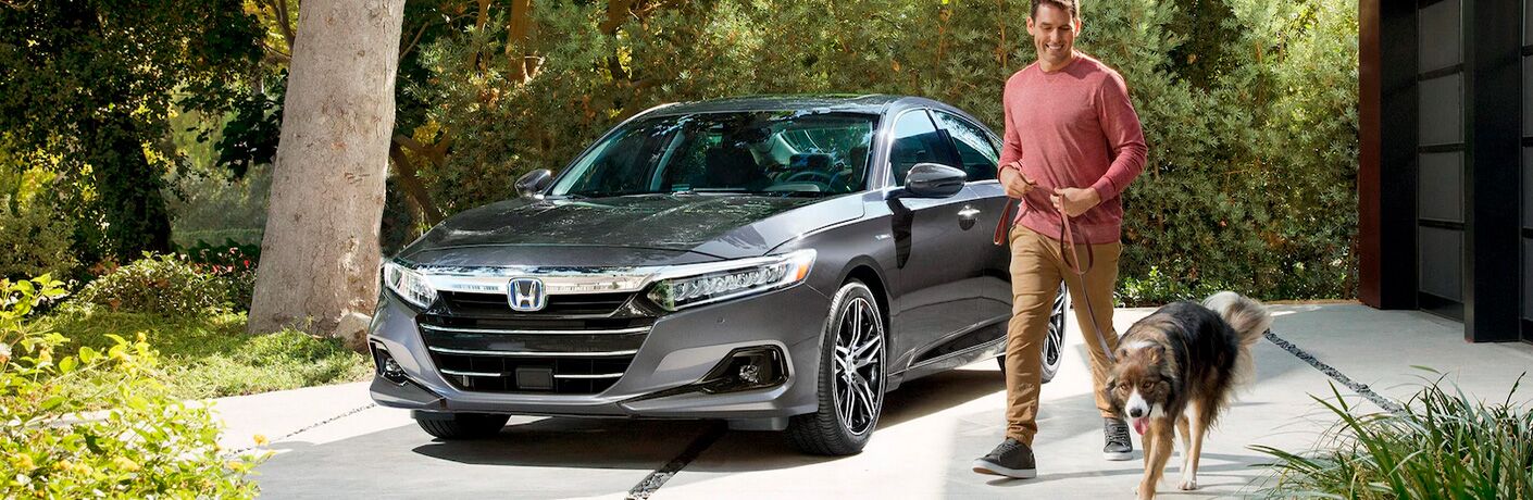 2021 Honda Accord Hybrid with a person and a dog