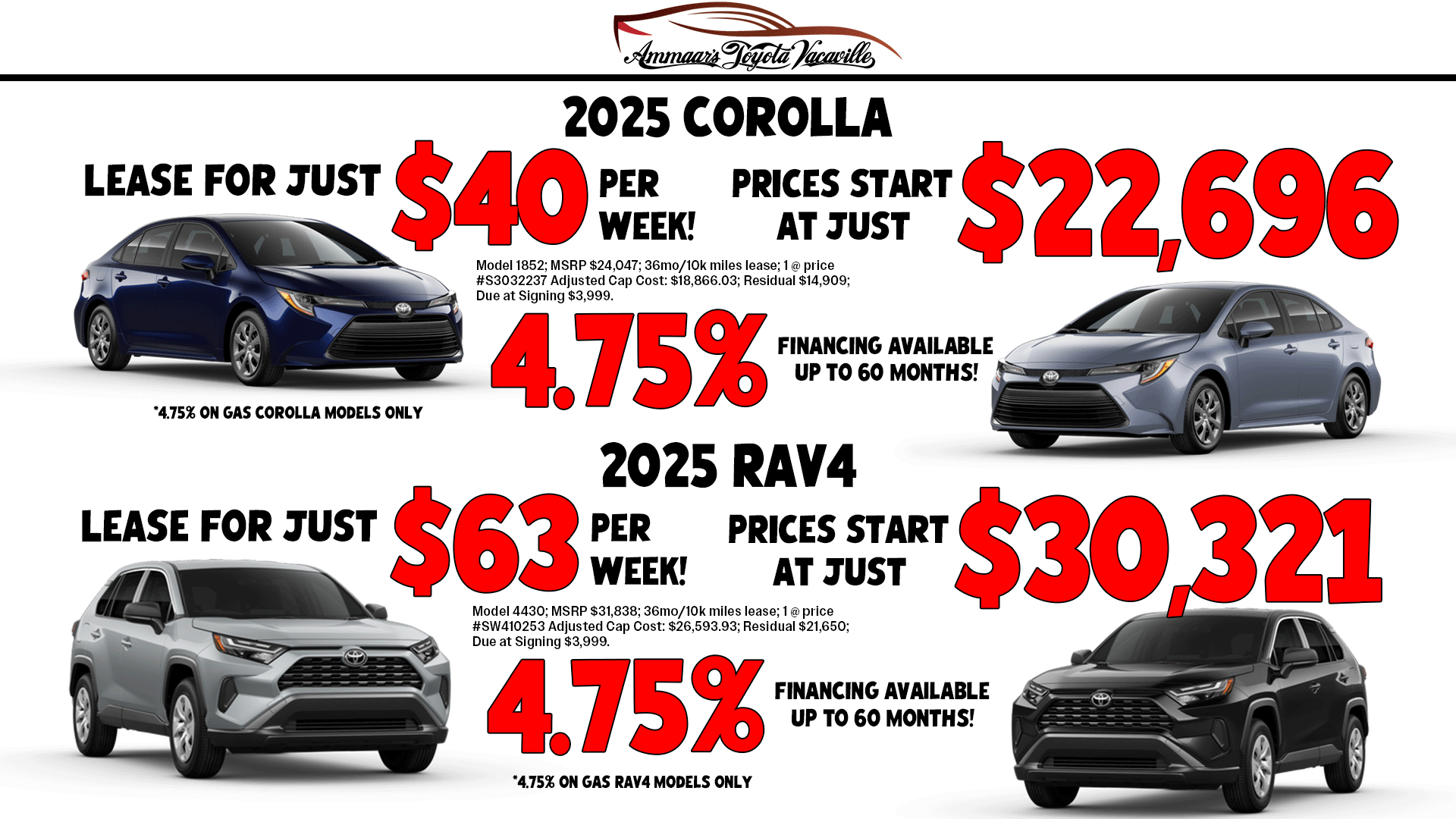 corolla