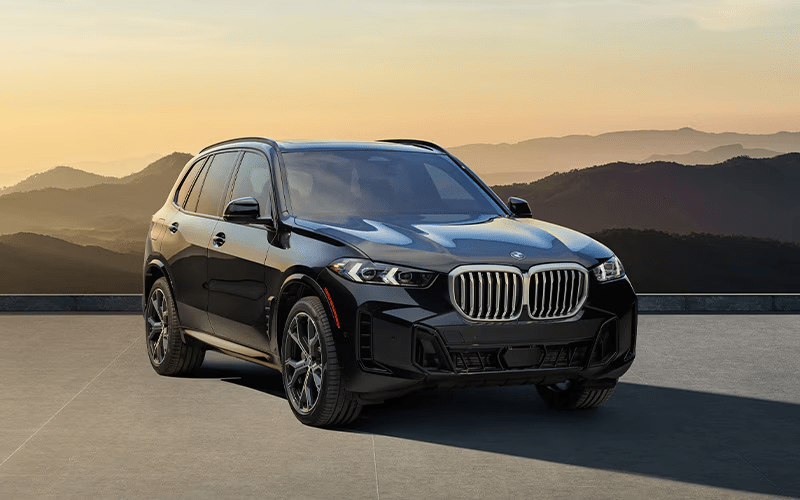 2025 BMW X5 front-view Mountain background