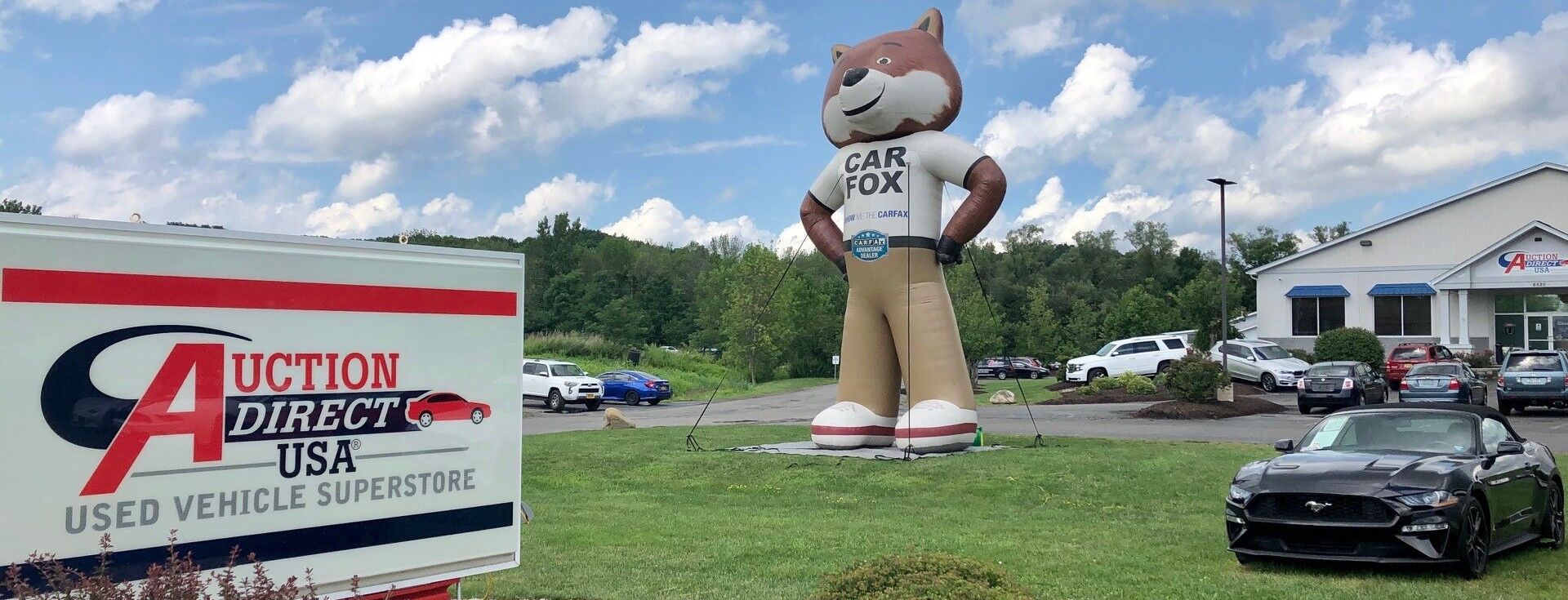 Used Cars For Sale In Rochester NY Auction Direct USA