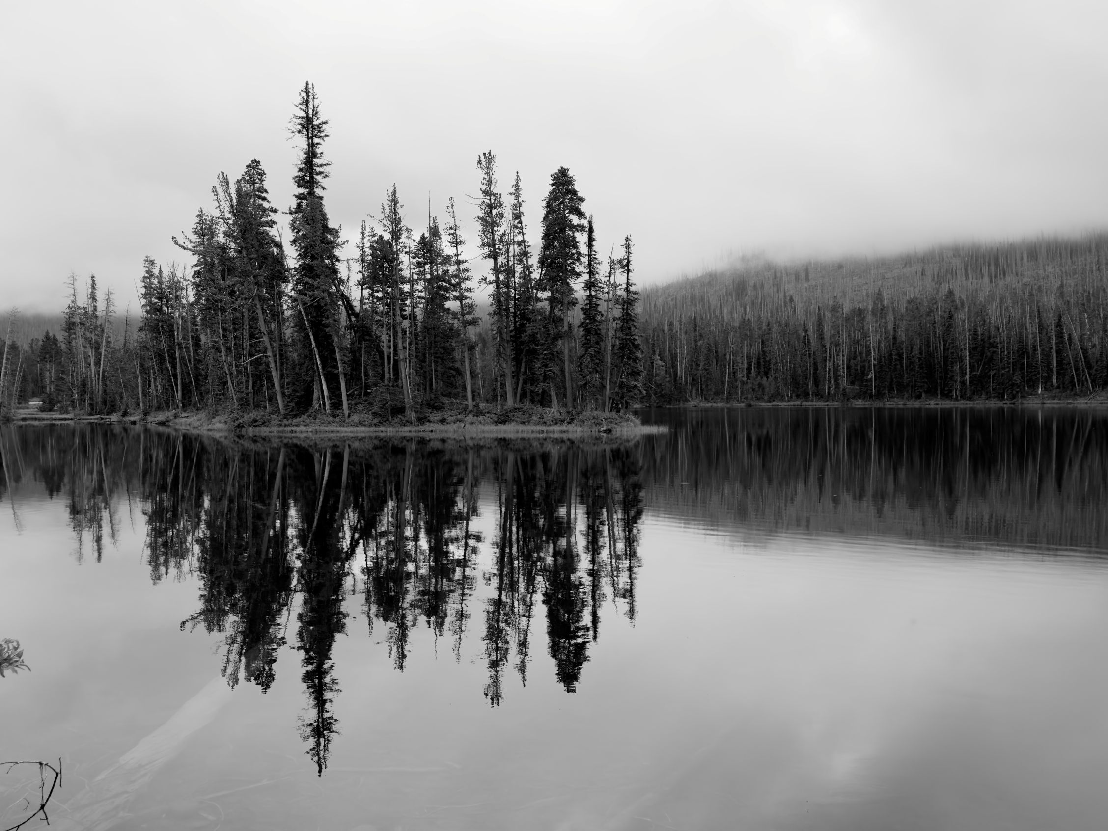 Image Slide