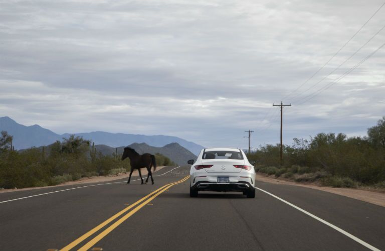 2020 MB CLA exterior back fascia on road with horse crossing road