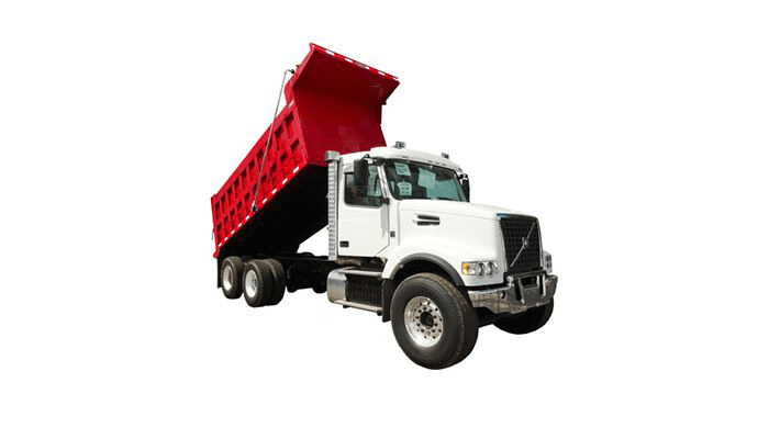 Find Your Match in Tampa FL