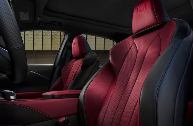 2025 Lexus RX Interior