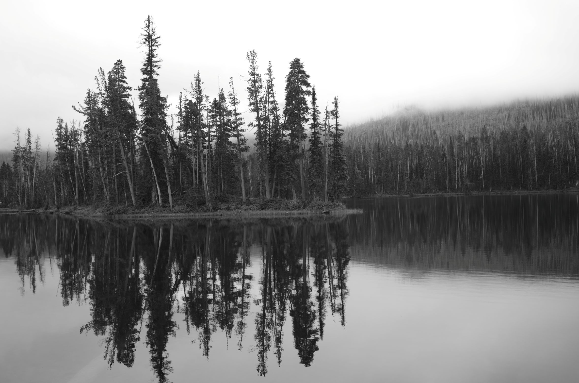 Image Slide