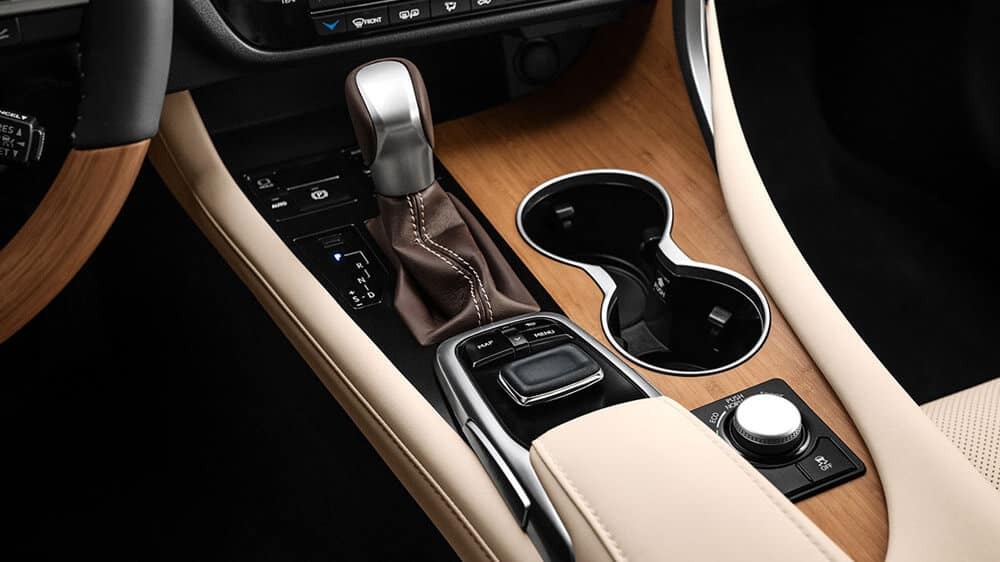 2019 Lexus RX Interior