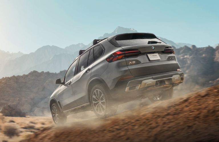 2025 BMW X5 exterior rear view
