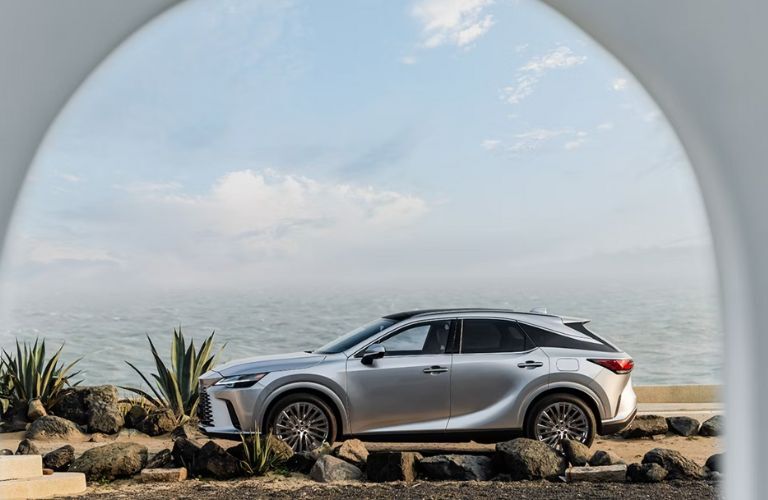 2025 Lexus RX Exterior