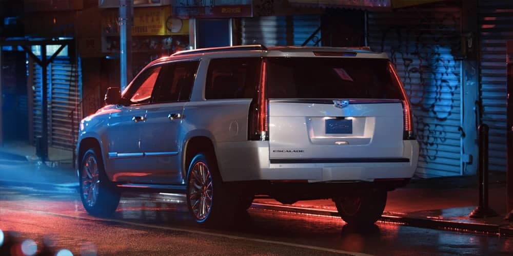 2019 Cadillac Escalade rear view