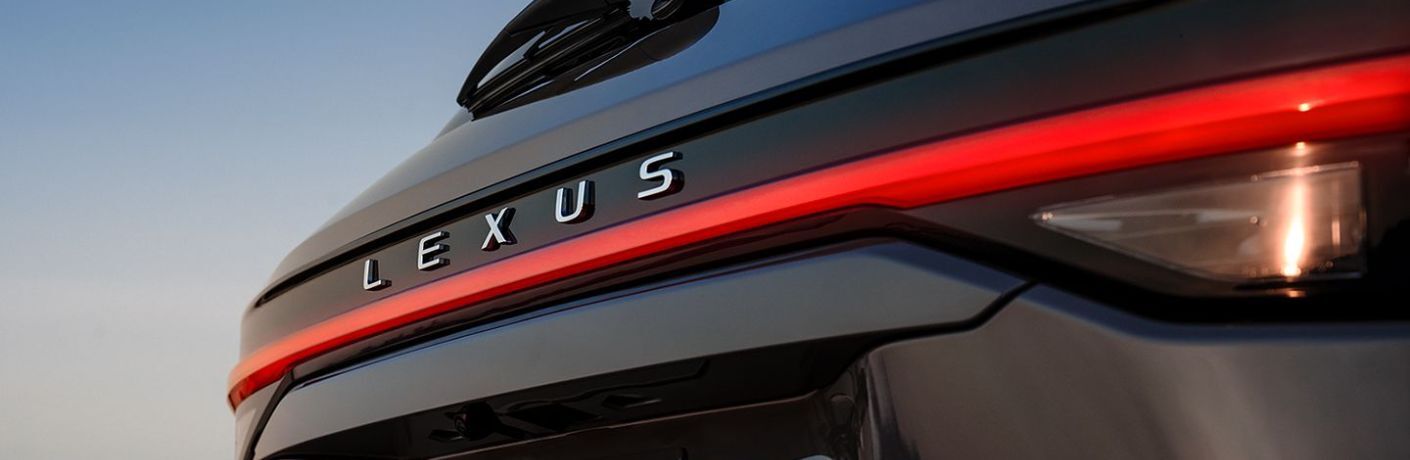 The rear of a 2024 Lexus TX