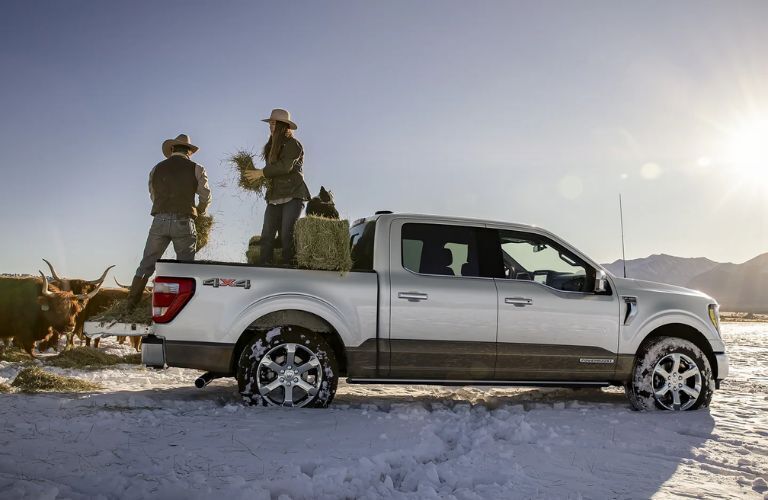 Side view of the 2023 Ford F-150 Silver