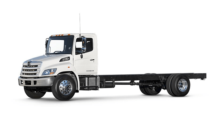 Find Your Match in Tampa FL