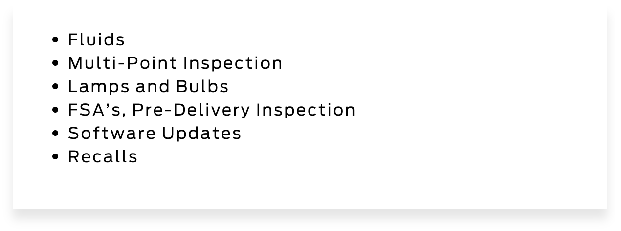 Fluids, Multi-Point Inspection, lamps and bulbs, Pre-Delivery Inspection, Software updates, Recalls