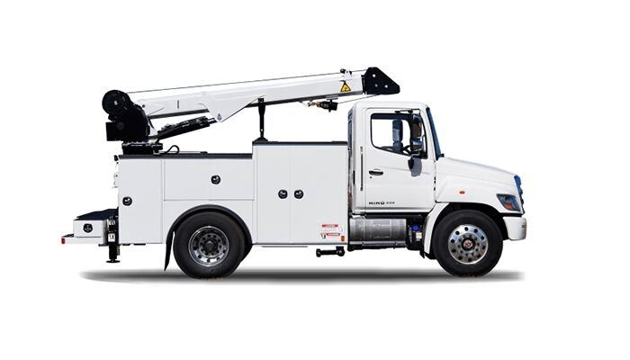 Find Your Match in Tampa FL