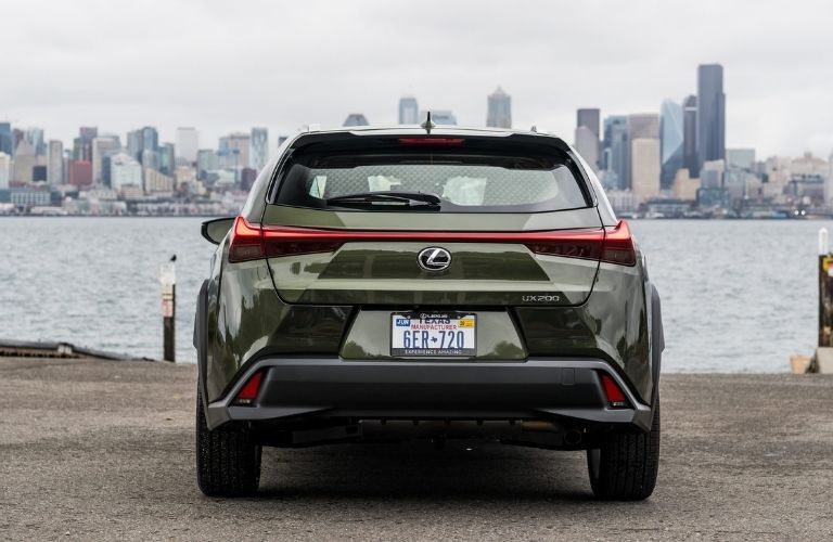 2021 Lexus UX 200 rear view