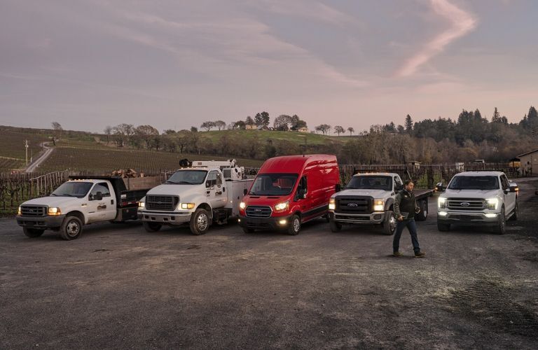 Ford E-Transit vehicles parked together