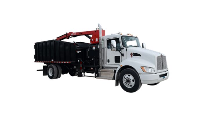 Find Your Match in Tampa FL