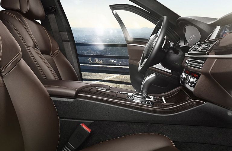 2017 BMW 5-Series Shift Knob and Center Console