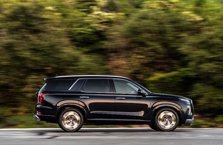 2021 Hyundai Palisade side view