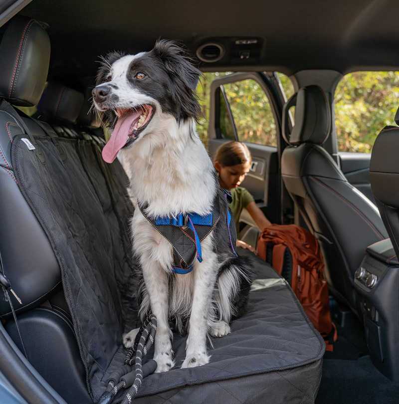 The comfortable rear seating in the 2027 Ford Explorer ST