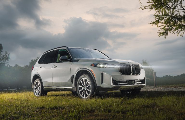 2025 BMW X5 exterior front side view