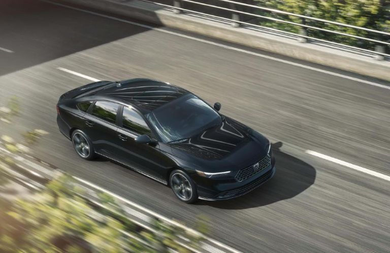 2026 Honda Accord Black on the road