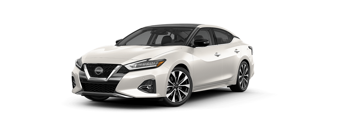 2023 Nissan Maxima in Pearl White TriCoat.  Please see the actual vehicle and colors at your local Nissan dealer.