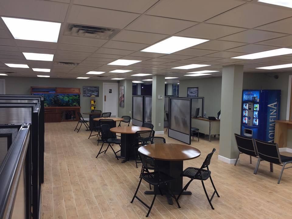 used cars for sale jersey city