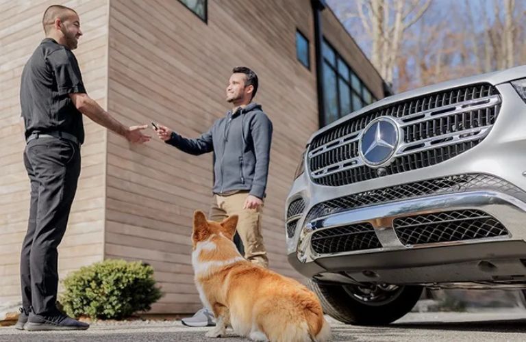 a dog, two people, and a Mercedes-Benz