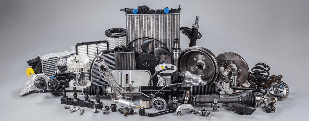 Find Your Match in Tampa FL