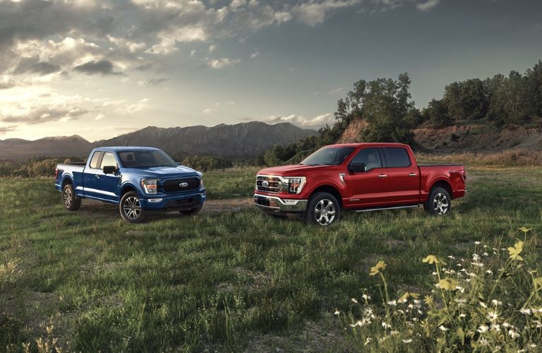 Ford F-150 Hybrid trucks parked together