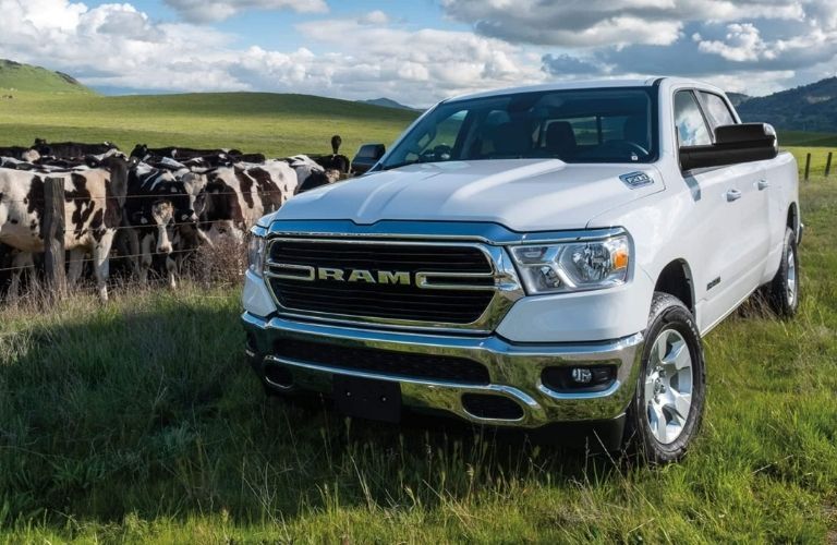 RAM Truck in Grasslands