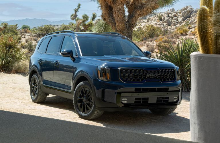 2025 Kia Telluride exterior rear view