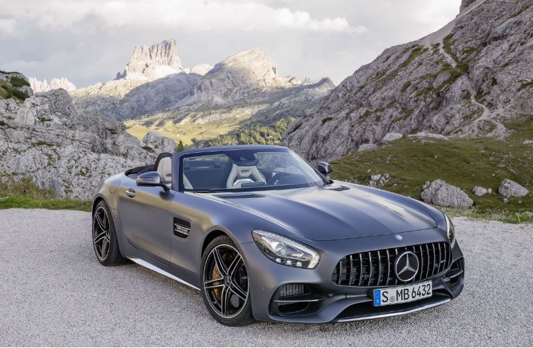2018 Mercedes-Benz AMG GT C Roadster Grille