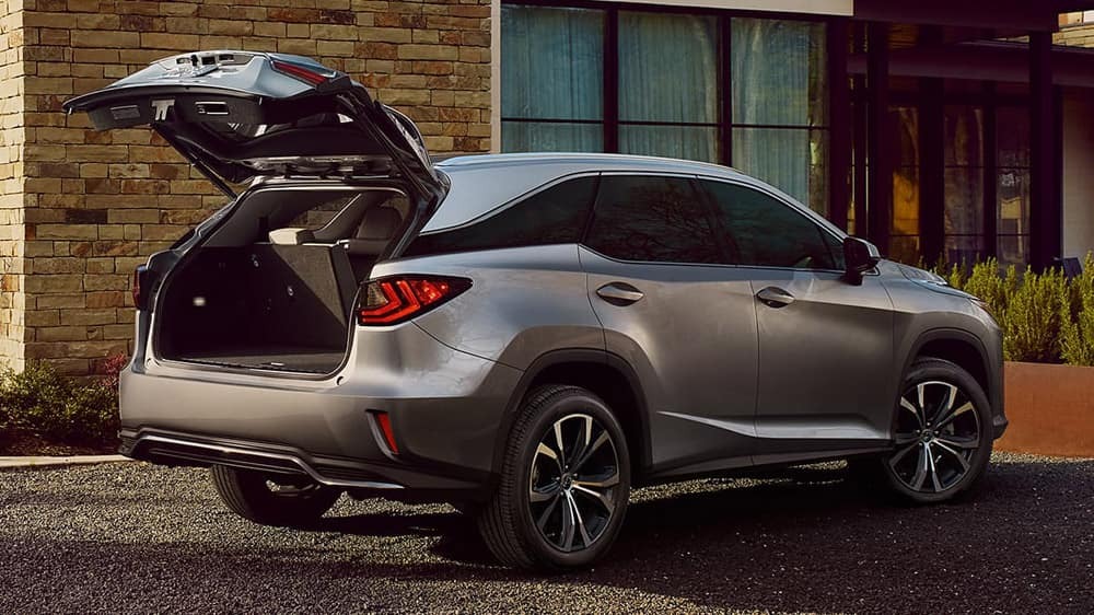 2019 Lexus RX Trunk