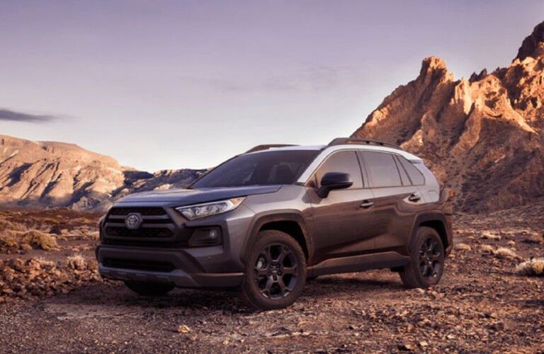 2021 Toyota RAV4 black side view