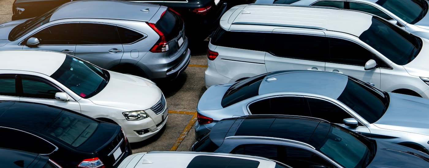 Rows of used vehicles at a car dealership.